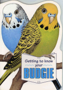 Getting to know your budgie