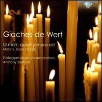Giaches de Wert: O mors, quam amara est (Motets, Book 1) - Amsterdam Collegium Musicum (choir, chorus); Anthony Zielhorst (conductor)