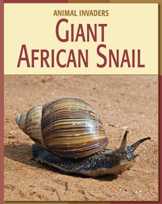 Giant African Snail - Gray, Susan H