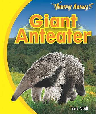 Giant Anteater - Antill, Sara