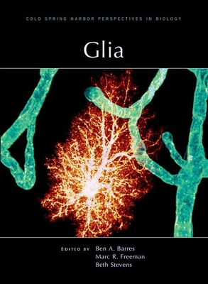 Glia - Barres, Ben A (Editor), and Stevens, Beth (Editor), and Freeman, Marc R (Editor)