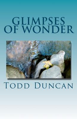 Glimpses of Wonder - Duncan, Todd