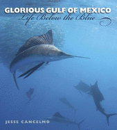 Glorious Gulf of Mexico, 28: Life Below the Blue
