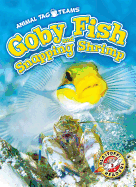 Goby Fish and Snapping Shrimp