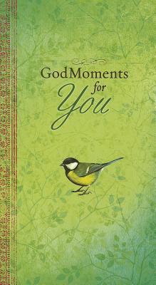 GodMoments for You - Larsen, Carolyn