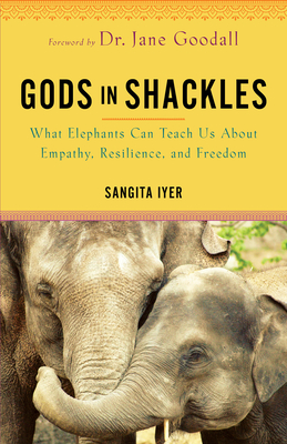 Gods in Shackles: What Elephants Can Teach Us about Empathy, Resilience, and Freedom - Iyer, Sangita