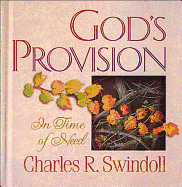 God's Provision in Time of Need