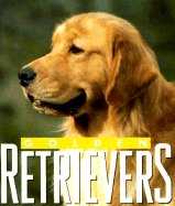 Golden Retrievers