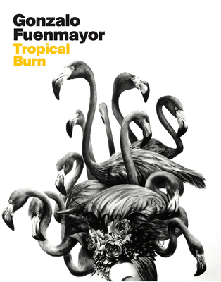 Gonzalo Fuenmayor: Tropical Burn - Fuenmayor, Gonzalo, and Scholl, Dennis (Foreword by), and Ostrander, Tobias (Text by)
