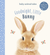 Goodnight, Little Bunny: A Board Book