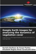 Google Earth images for analyzing the dynamics of vegetation cover