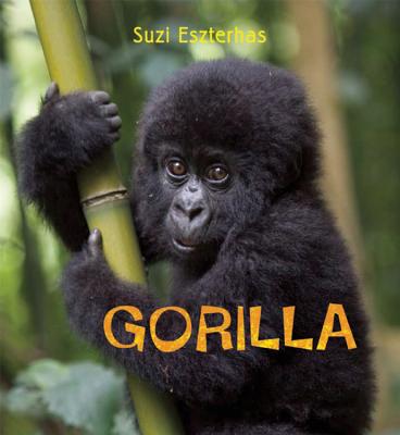 Gorilla - Eszterhas, Suzi (Photographer)