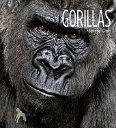 Gorillas