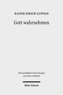 Gott Wahrnehmen: Die Sinne Im Johannesevangelium. Ratio Religionis Studien IV - Hirsch-Luipold, Rainer