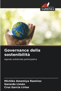 Governance della sostenibilit?