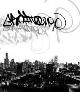 Graffitecture: Chicago Graffiti Artists Attack Photographic Spaces