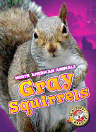 Gray Squirrels