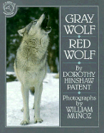 Gray Wolf, Red Wolf