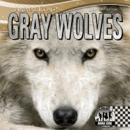 Gray Wolves