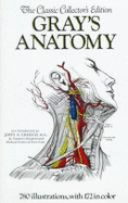 Grays Anatomy: Deluxe
