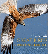 Great Birds of Europe