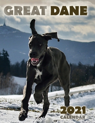 Great Dane 2021 Calendar - Over the Wall Dogs