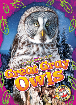 Great Gray Owls - Barnes, Rachael