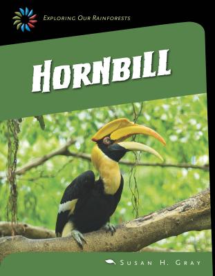 Great Hornbill - Gray, Susan H