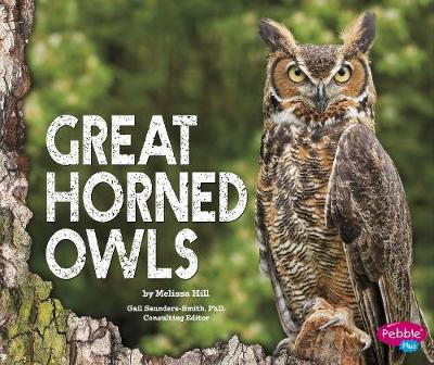 Great Horned Owls - Saunders-Smith, Gail, PhD (Consultant editor), and Hill, Melissa