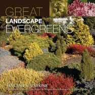 Great Landscape Evergreens - Simeone, Vincent A, and Curtis, Bruce, Dr. (Photographer), and Cahilly, A Wayne (Foreword by)