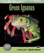 Green Iguanas: A Complete Guide to Iguana Iguana