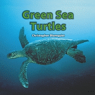 Green Sea Turtles - Blomquist, Christopher