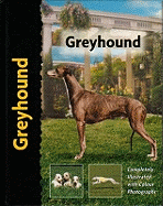 Greyhound