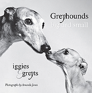 Greyhounds Big and Small: Iggies and Greyts