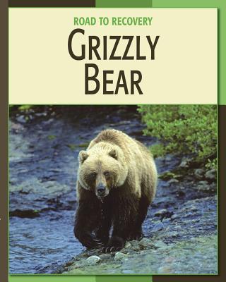 Grizzly Bear - Somervill, Barbara A