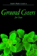 Ground Covers for Sun