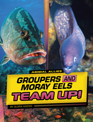 Groupers and Moray Eels Team Up! - Koster, Gloria