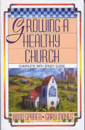 Growing a Healthy Church: The Sonlife Strategy