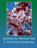 Growing an Almond Tree in the Home Landscape