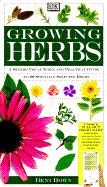 Growing herbs