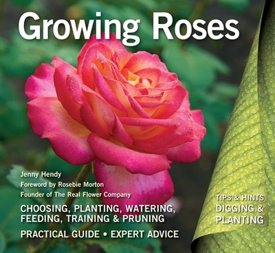 Growing Roses: Plan, Plant and Maintain - Hendy, Jenny, and Morton, Rosebie (Foreword by)