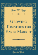 Growing Tomatoes for Early Market (Classic Reprint)