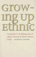 Growing Up Ethnic: Nationalism and the Bildungsroman in African American and Jewish American Fiction