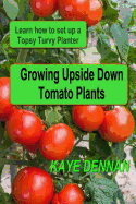 Growing Upside Down Tomato Plants: Learn How to Set Up a Topsy Turvy Planter