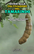 Guida alla Coltivazione del Tamarindo: Impara come coltivare ottimo Tamarindo