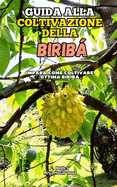 Guida alla Coltivazione della Birib: Impara come coltivare ottima Birib
