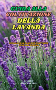 Guida alla Coltivazione della Lavanda: Impara cosa fare per coltivare bene la Lavanda