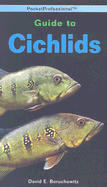 Guide to Cichlids