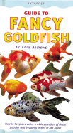 Guide to Fancy Goldfish