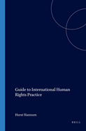 Guide to International Human Rights Practice